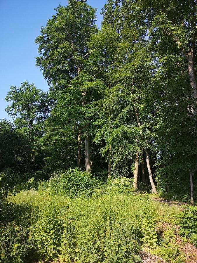 Gaestehaus Maria Rast Suderburg 外观 照片