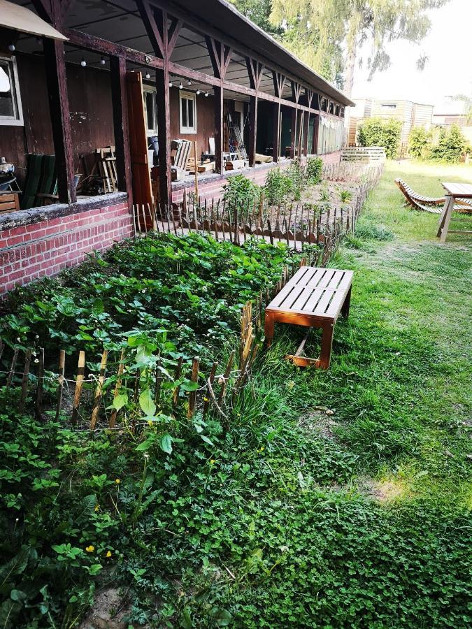 Gaestehaus Maria Rast Suderburg 外观 照片
